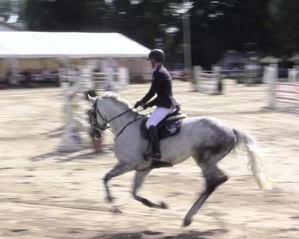 Waltroper Reitertage 2015