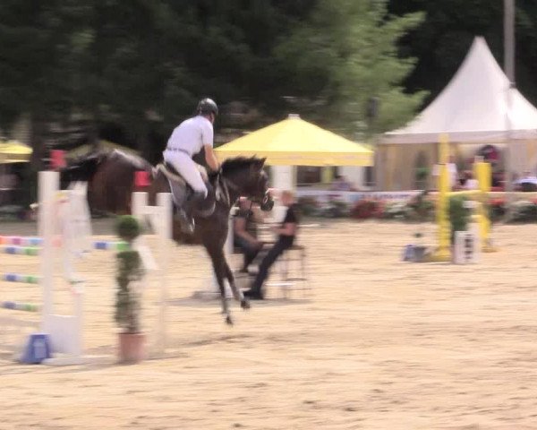 Waltroper Reitertage 2015