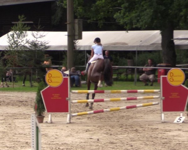 Reitturnier Neunkirchen-Salchendorf 2015