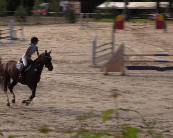 Reitturnier Neunkirchen-Salchendorf 2015