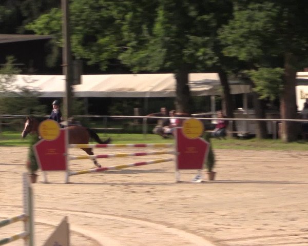Reitturnier Neunkirchen-Salchendorf 2015