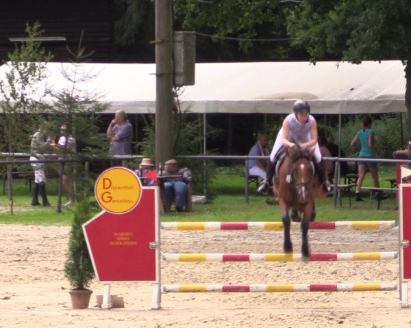 Reitturnier Neunkirchen-Salchendorf 2015