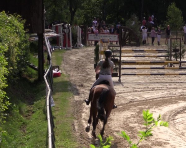 Reitturnier Neunkirchen-Salchendorf 2015