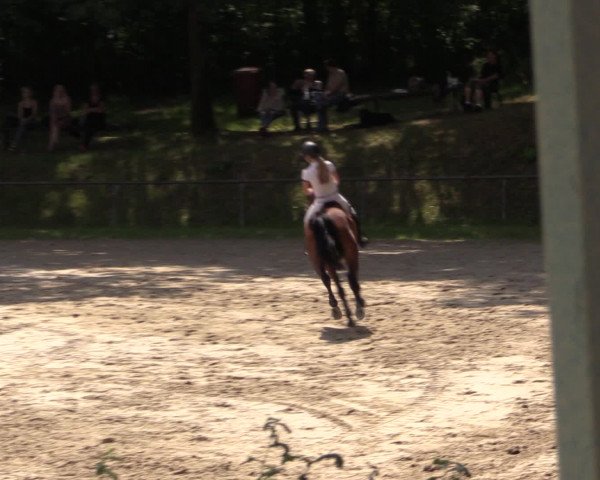 Reitturnier Neunkirchen-Salchendorf 2015