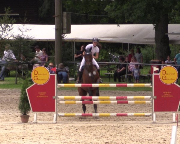 Reitturnier Neunkirchen-Salchendorf 2015