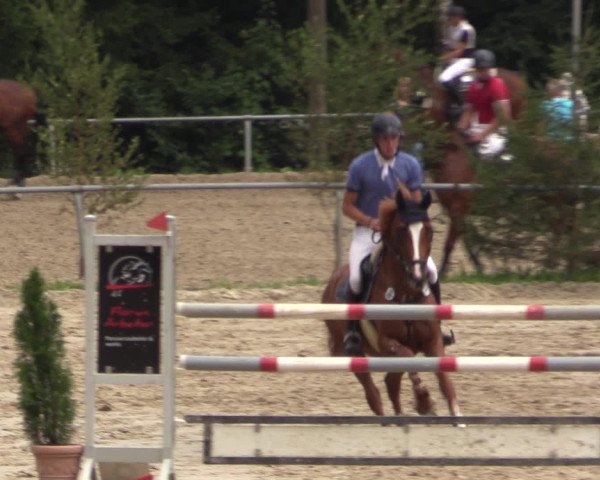 Reitturnier Neunkirchen-Salchendorf 2015