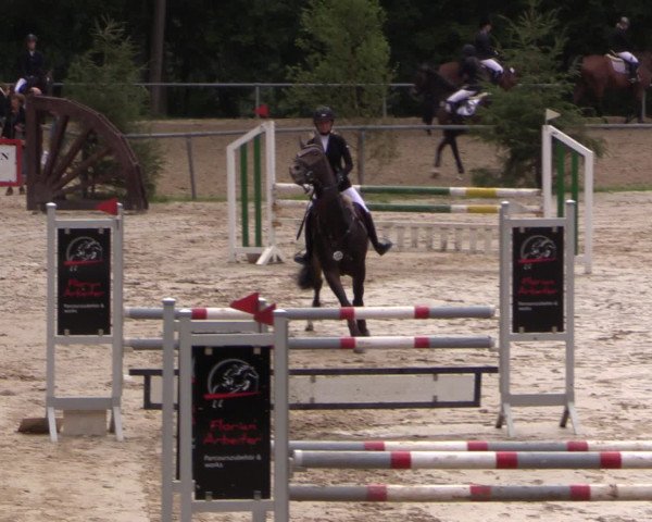 Reitturnier Neunkirchen-Salchendorf 2015