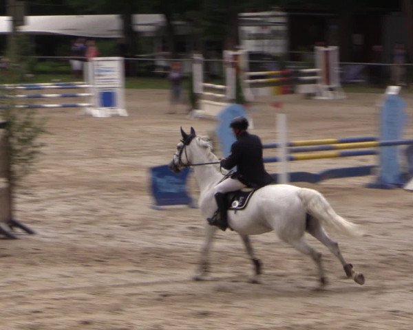 Reitturnier Neunkirchen-Salchendorf 2015