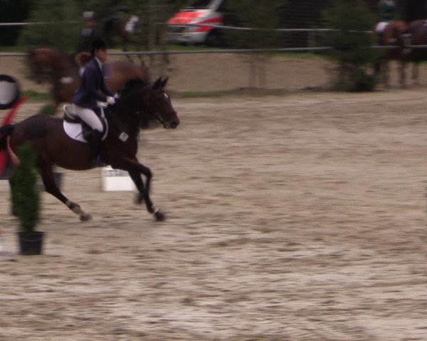 Reitturnier Neunkirchen-Salchendorf 2015