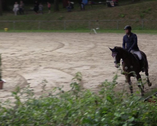 Reitturnier Neunkirchen-Salchendorf 2015