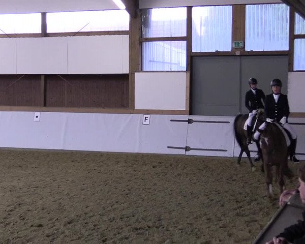 Waltroper Reitertage 2015