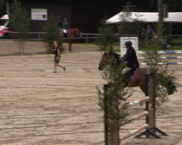 Reitturnier Neunkirchen-Salchendorf 2015