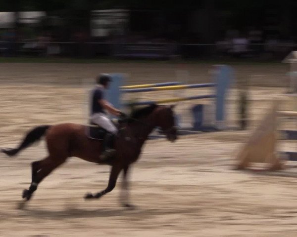 Reitturnier Neunkirchen-Salchendorf 2015