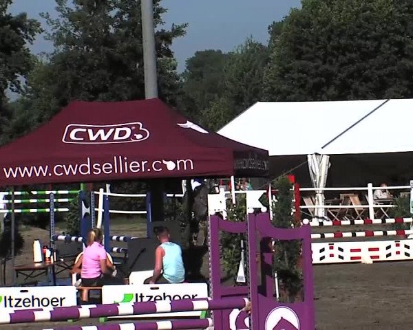Reitturnier Tangstedt/Pinneberg 2015