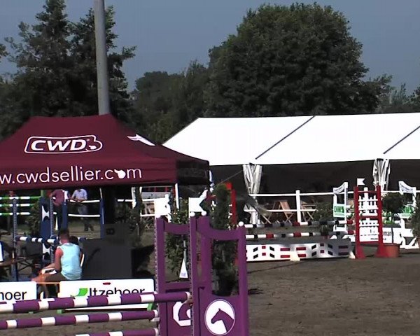 Reitturnier Tangstedt/Pinneberg 2015
