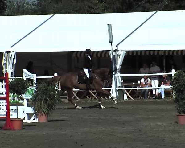 Reitturnier Tangstedt/Pinneberg 2015