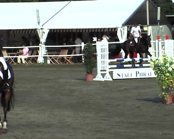 Reitturnier Tangstedt/Pinneberg 2015