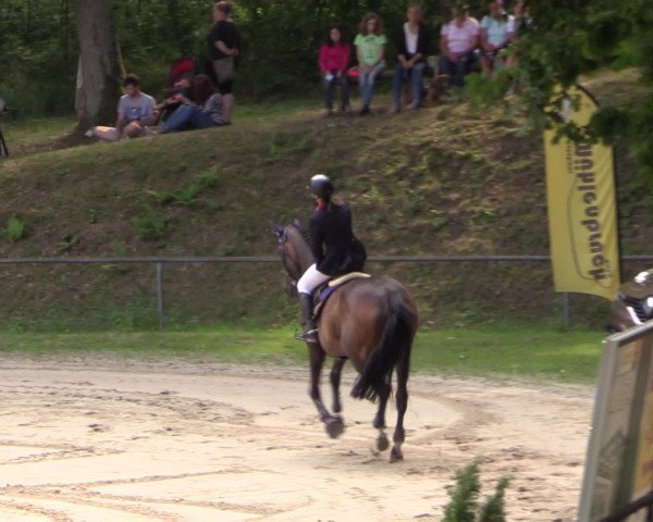 Reitturnier Neunkirchen-Salchendorf 2015