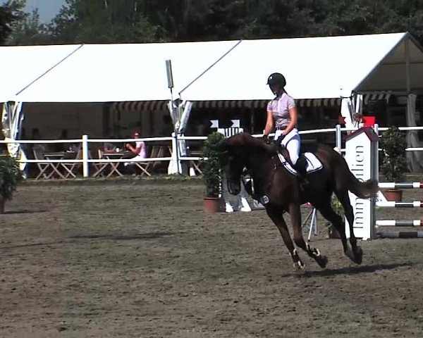 Reitturnier Tangstedt/Pinneberg 2015