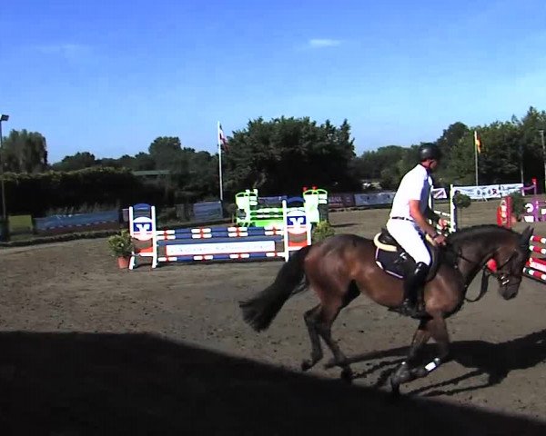 Reitturnier Tangstedt/Pinneberg 2015