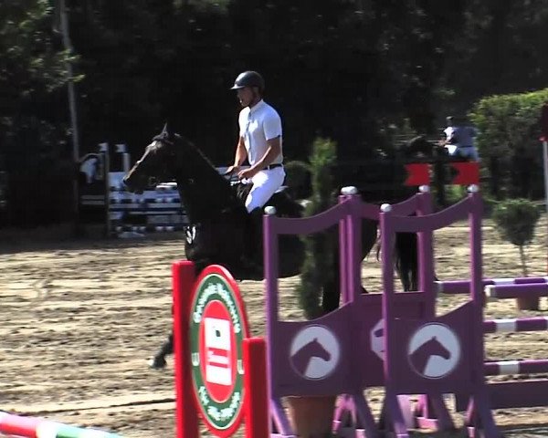 Reitturnier Tangstedt/Pinneberg 2015