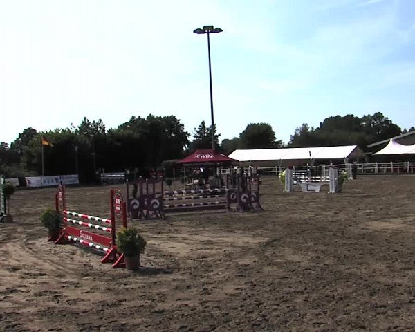 Reitturnier Tangstedt/Pinneberg 2015