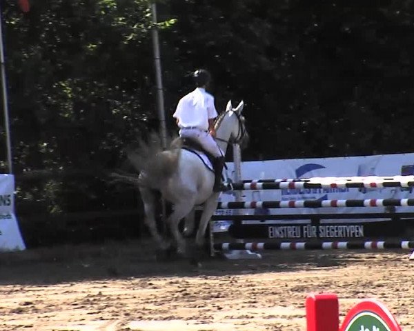 Reitturnier Tangstedt/Pinneberg 2015