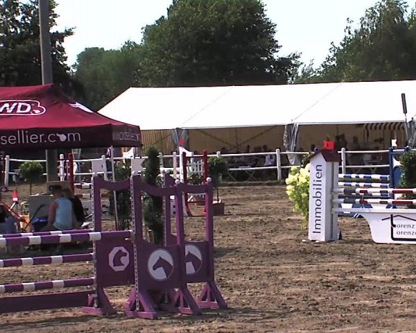 Reitturnier Tangstedt/Pinneberg 2015