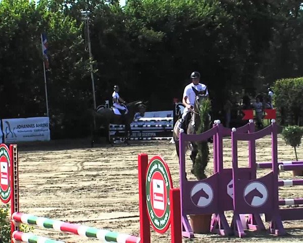 Reitturnier Tangstedt/Pinneberg 2015