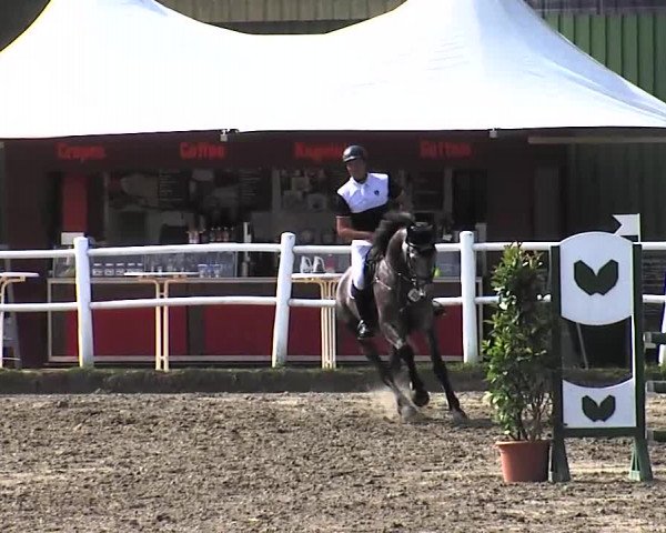 Reitturnier Tangstedt/Pinneberg 2015