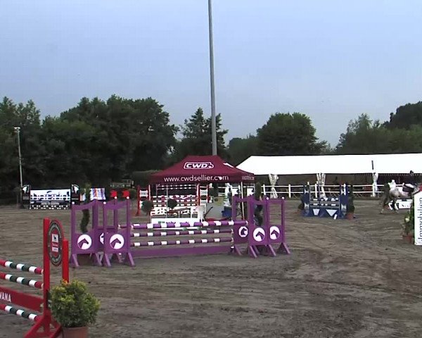 Reitturnier Tangstedt/Pinneberg 2015