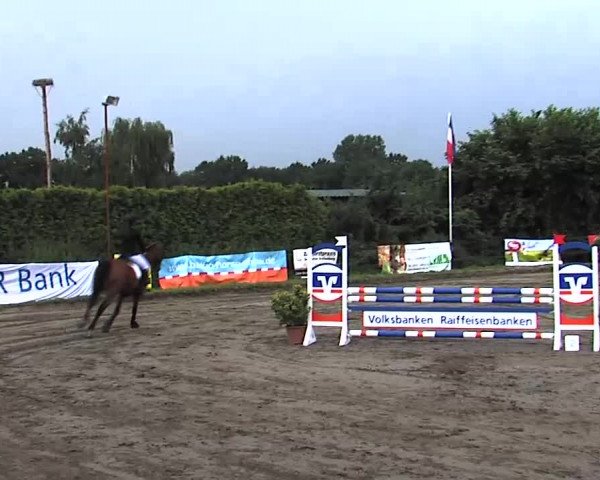 Reitturnier Tangstedt/Pinneberg 2015