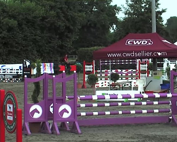 Reitturnier Tangstedt/Pinneberg 2015