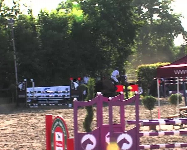 Reitturnier Tangstedt/Pinneberg 2015