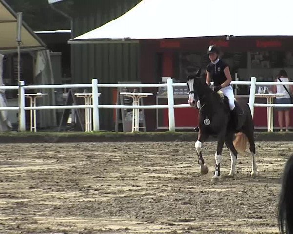 Reitturnier Tangstedt/Pinneberg 2015