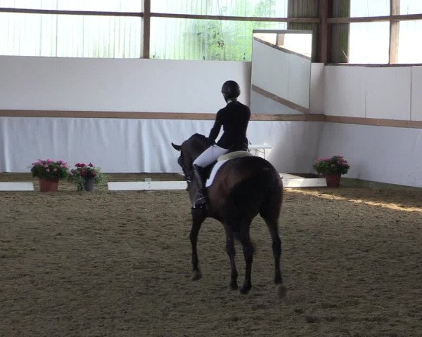 Waltroper Reitertage 2015