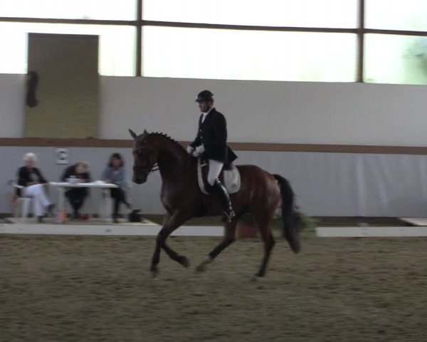 Waltroper Reitertage 2015