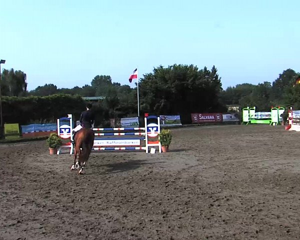 Reitturnier Tangstedt/Pinneberg 2015