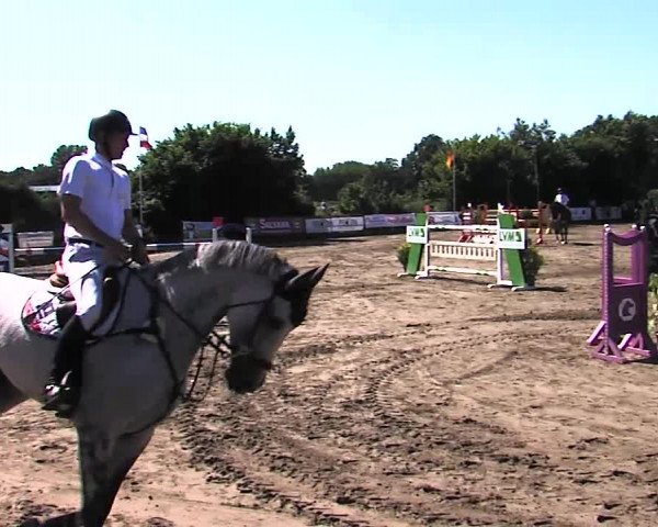 Reitturnier Tangstedt/Pinneberg 2015