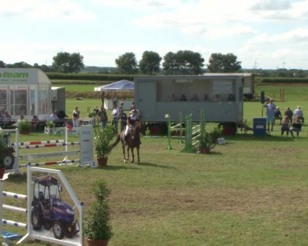 Reitturnier Behrendorf 2015
