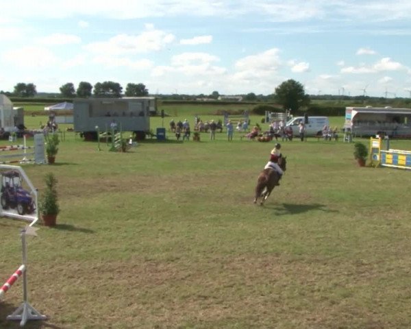 Reitturnier Behrendorf 2015