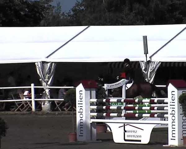 Reitturnier Tangstedt/Pinneberg 2015