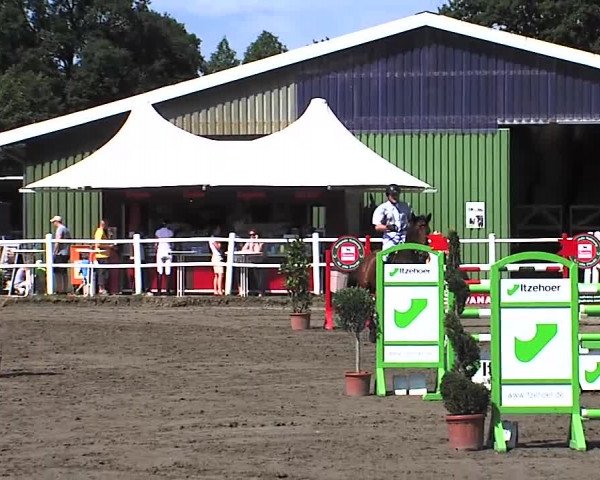 Reitturnier Tangstedt/Pinneberg 2015