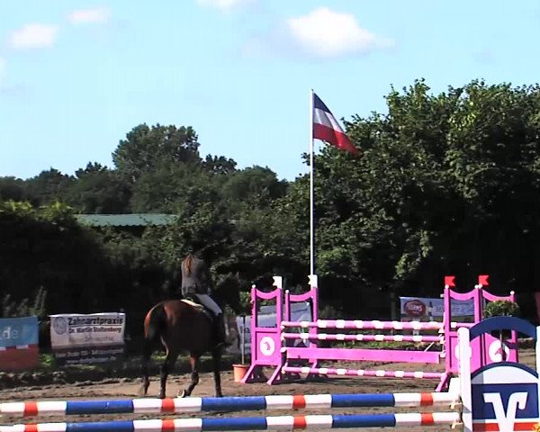 Reitturnier Tangstedt/Pinneberg 2015