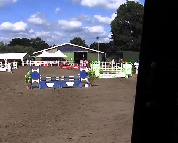 Reitturnier Tangstedt/Pinneberg 2015