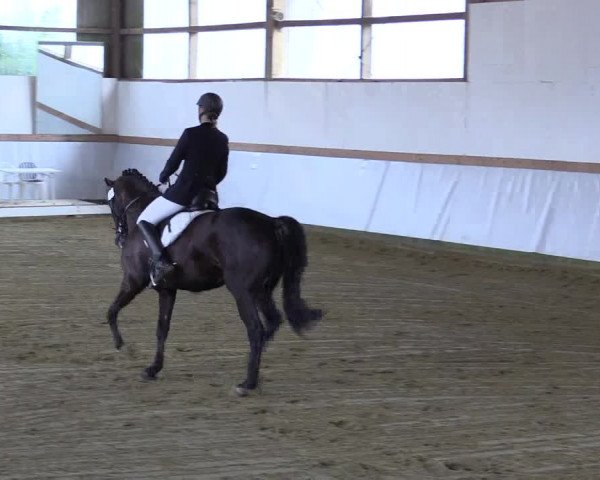 Waltroper Reitertage 2015