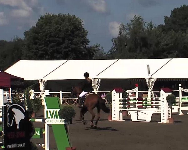 Reitturnier Tangstedt/Pinneberg 2015