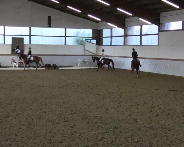 Waltroper Reitertage 2015