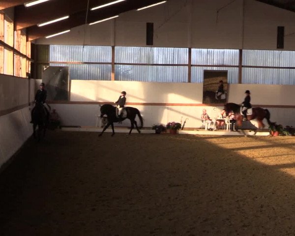 Waltroper Reitertage 2015