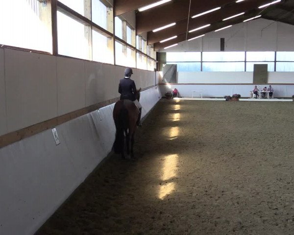 Waltroper Reitertage 2015